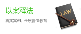 以案释法