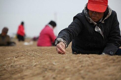 土地侵权应承担什么法律责任? 土地侵权应承担什么法律责任?