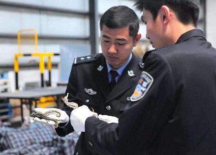 走私罪怎样量刑?