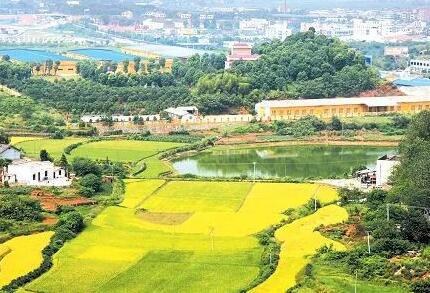 农村土地征用补偿纠纷该如何处理?