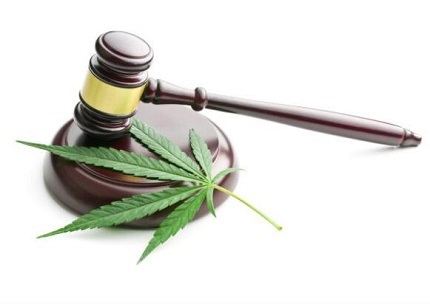 申请强制执行费用谁交?
