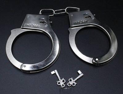 警方逮捕行动现场直击 犯罪嫌疑人落网全过程 最新逮捕案件进展追踪 深入解析逮捕令执行细节 法律专家解读逮捕条件与程序