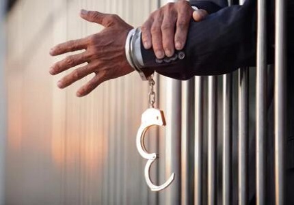 专业刑事辩护律师团队，高效维护您的合法权益 | 免费咨询