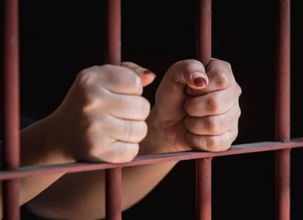 刑事辩护律师的专业领域细分