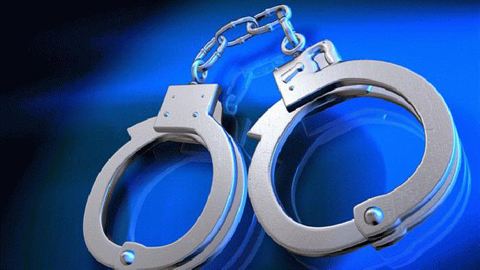 专业刑事律师团队：高效辩护，保障您的合法权益 | 免费咨询